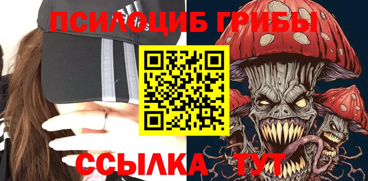 Галлюциногенные грибы мицелий  Архангельск  Галлюциногенные грибы Magic Shrooms 