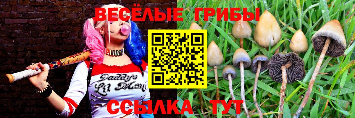 Галлюциногенные грибы мухоморы Архангельск