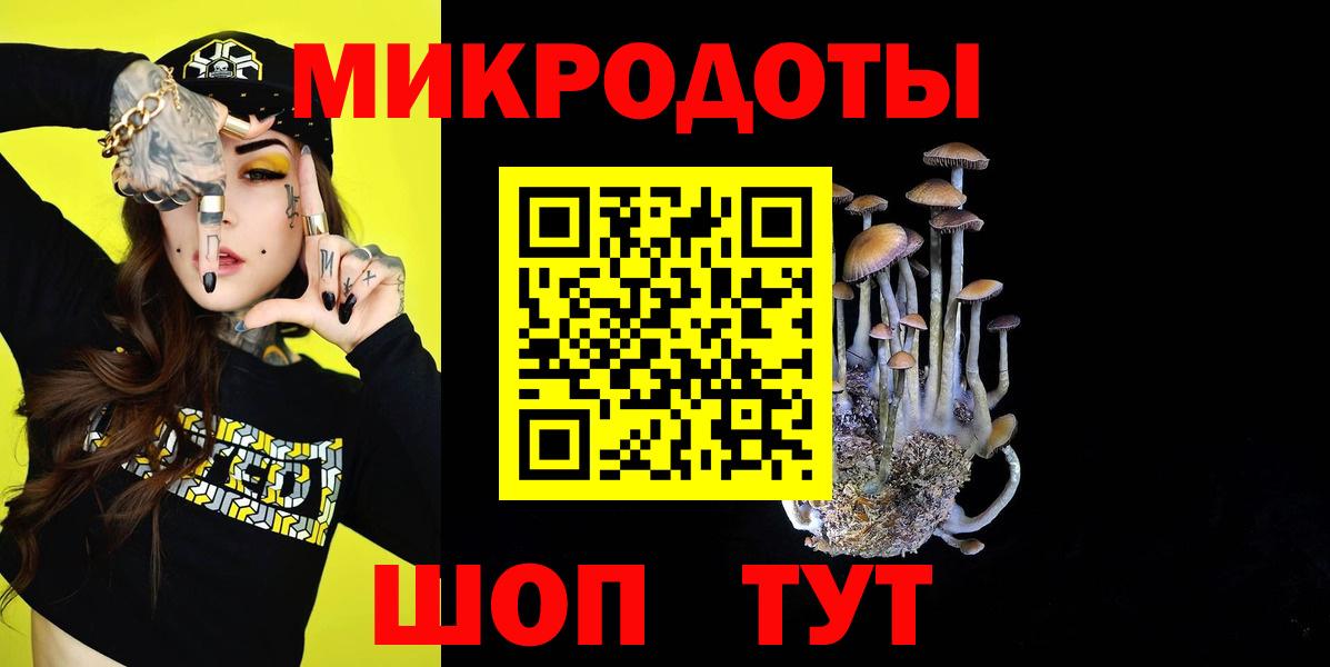 Псилоцибиновые грибы Psilocybe Архангельск